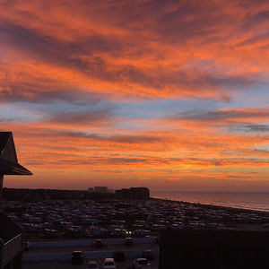 Meet your Posher, Kaia